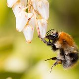 GEO Leserfoto: Die besten Leserfotos: Juni 2015 - Bild 12