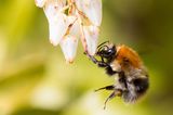 GEO Leserfoto: Die besten Leserfotos: Juni 2015 - Bild 12