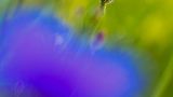GEO Leserfoto: Die besten Leserfotos: Juni 2015 - Bild 15
