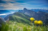 GEO Leserfoto: Die besten Leserfotos: Juni 2015 - Bild 19