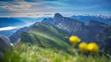 GEO Leserfoto: Die besten Leserfotos: Juni 2015 - Bild 19