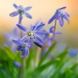 GEO Leserfoto: Die besten Leserfotos: Juni 2015 - Bild 20