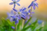 GEO Leserfoto: Die besten Leserfotos: Juni 2015 - Bild 20