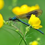 GEO Leserfoto: Die besten Leserfotos: Juni 2015 - Bild 21