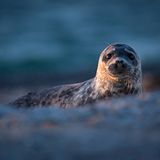 GEO Leserfoto: Die besten Leserfotos: Juni 2015 - Bild 22