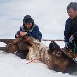 Besiegeltes Schicksal