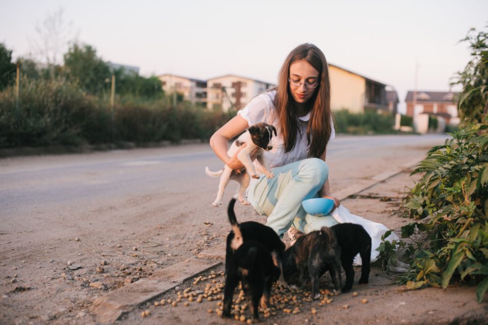 Tiere: Tierschutz