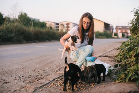 Tiere: Tierschutz