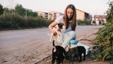 Tierschutz in Rumänien: Jedes Hundeleben zählt
