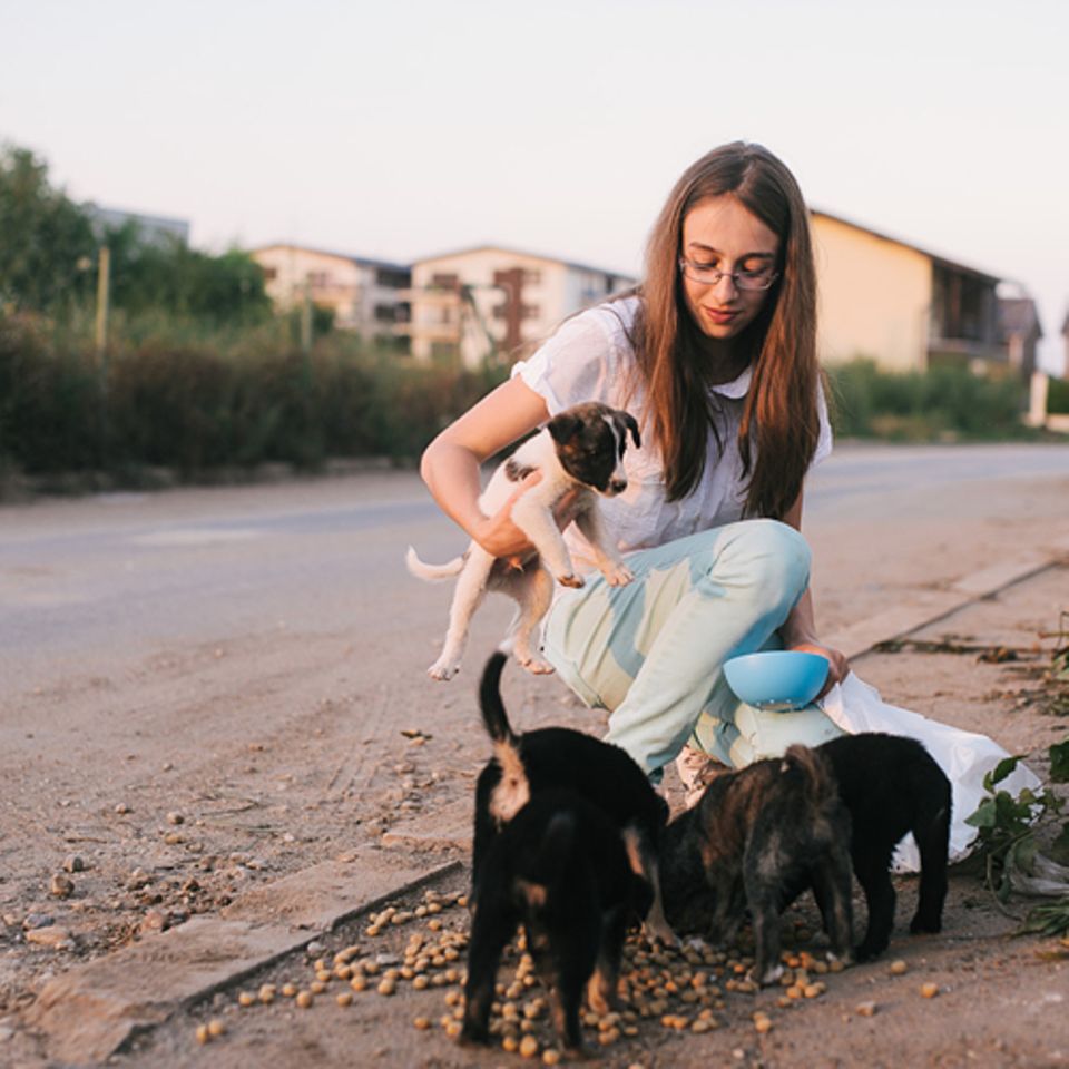 Tiere: Tierschutz