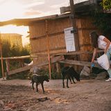 Tierschutz in Rumänien: Jedes Hundeleben zählt - Bild 2