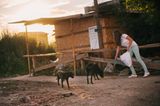 Tierschutz in Rumänien: Jedes Hundeleben zählt - Bild 2