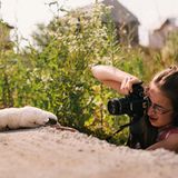 Tierschutz in Rumänien: Jedes Hundeleben zählt - Bild 4