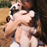 Tierschutz in Rumänien: Jedes Hundeleben zählt - Bild 5