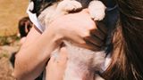 Tierschutz in Rumänien: Jedes Hundeleben zählt - Bild 5