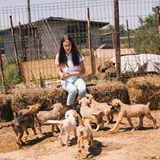 Tierschutz in Rumänien: Jedes Hundeleben zählt - Bild 6