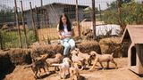 Tierschutz in Rumänien: Jedes Hundeleben zählt - Bild 6