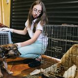 Tierschutz in Rumänien: Jedes Hundeleben zählt - Bild 9