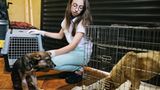 Tierschutz in Rumänien: Jedes Hundeleben zählt - Bild 9