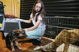 Tierschutz in Rumänien: Jedes Hundeleben zählt - Bild 9