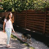 Tierschutz in Rumänien: Jedes Hundeleben zählt - Bild 11