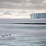 Beschwerlicher Ausflug