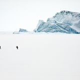 Unterwegs auf dem Meereis