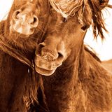 Leben in der Einöde