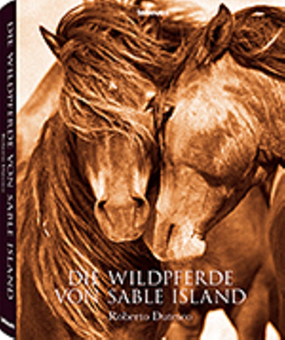 Fotogalerie: Roberto Dutesco Die Wildpferde von Sable Island 344 Seiten, 8 Altarfalze Hardcover mit Schutzumschlag 119 farb- und 83 s/w-Abb. teNeues Verlag 2014 Fotogalerie: Roberto Dutesco Die Wildpferde von Sable Island 344 Seiten, 8 Altarfalze Hardcover mit Schutzumschlag 119 farb- und 83 s/w-Abb. teNeues Verlag 2014