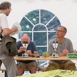 Drei Forscher beim Bestimmen