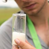 Fledermausmann mit Libelle und Wanze