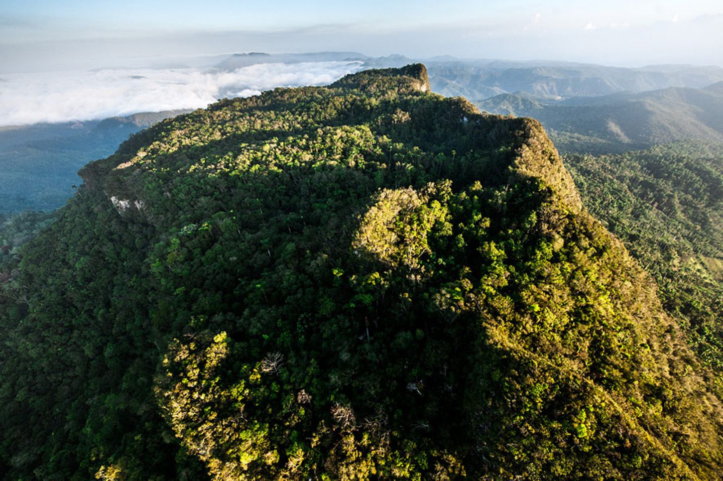 El Yunque
