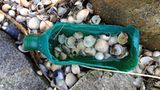 Plastikmüll am Strand - Umweltschutz
