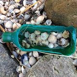 Plastikmüll am Strand - Umweltschutz