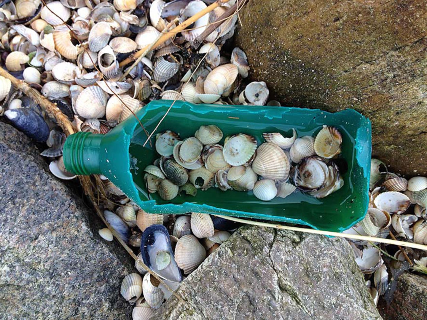 Plastikmüll am Strand - Umweltschutz