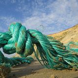 Umweltschutz: Strandgut mal anders - Bild 2