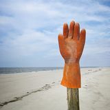 Umweltschutz: Strandgut mal anders - Bild 3