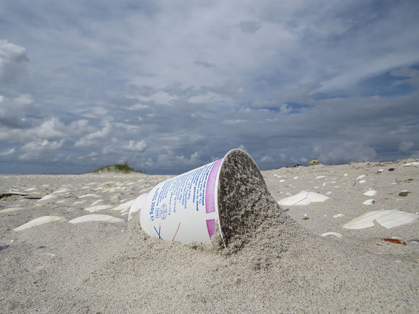 Umweltschutz: Strandgut mal anders - Bild 5