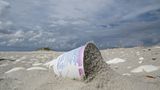 Umweltschutz: Strandgut mal anders - Bild 5