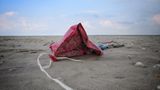 Umweltschutz: Strandgut mal anders - Bild 6