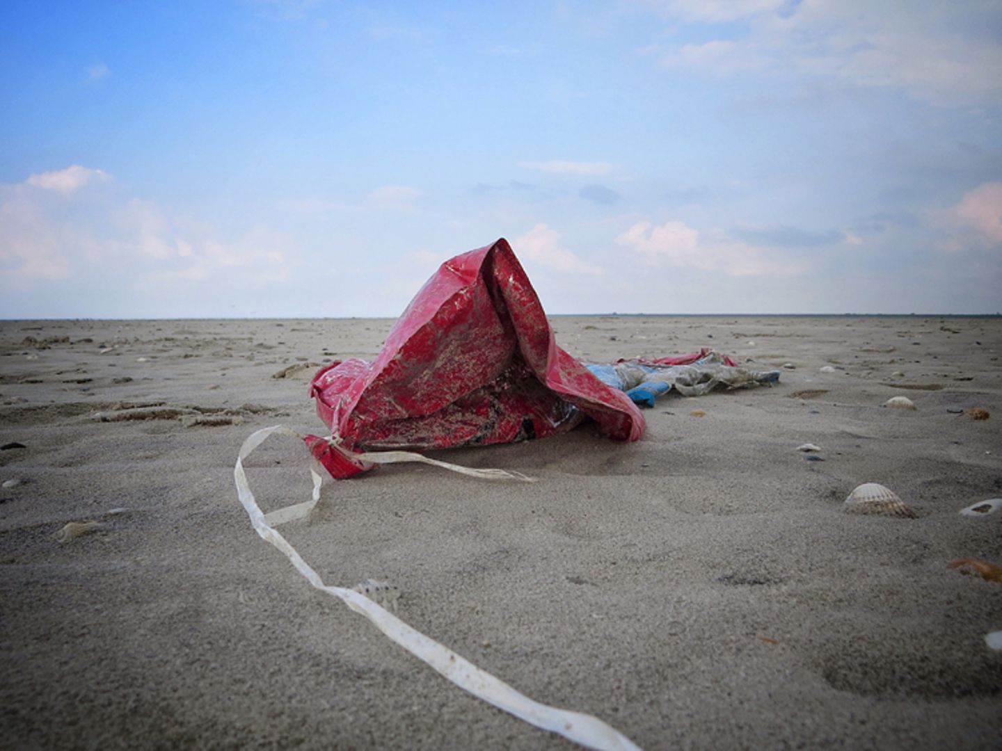 Umweltschutz: Strandgut mal anders - Bild 6