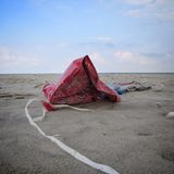 Umweltschutz: Strandgut mal anders - Bild 6