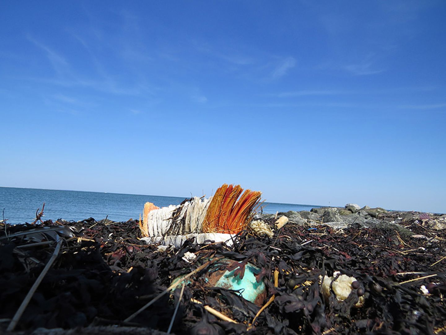 Umweltschutz: Strandgut mal anders - Bild 7
