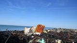 Umweltschutz: Strandgut mal anders - Bild 7
