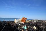 Umweltschutz: Strandgut mal anders - Bild 7