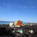 Umweltschutz: Strandgut mal anders - Bild 7