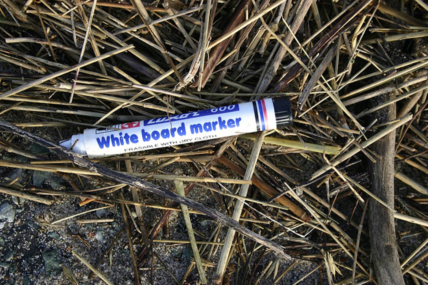 Umweltschutz: Strandgut mal anders - Bild 8