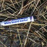 Umweltschutz: Strandgut mal anders - Bild 8