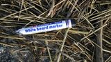 Umweltschutz: Strandgut mal anders - Bild 8