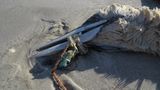 Umweltschutz: Strandgut mal anders - Bild 10
